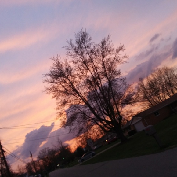 Meet your Posher, Jasmine - Picture 1 of 1